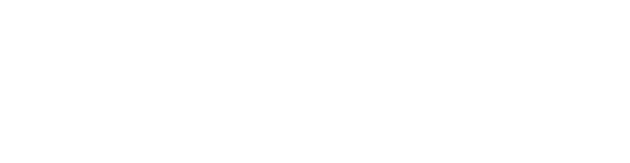 fantom foundation logo